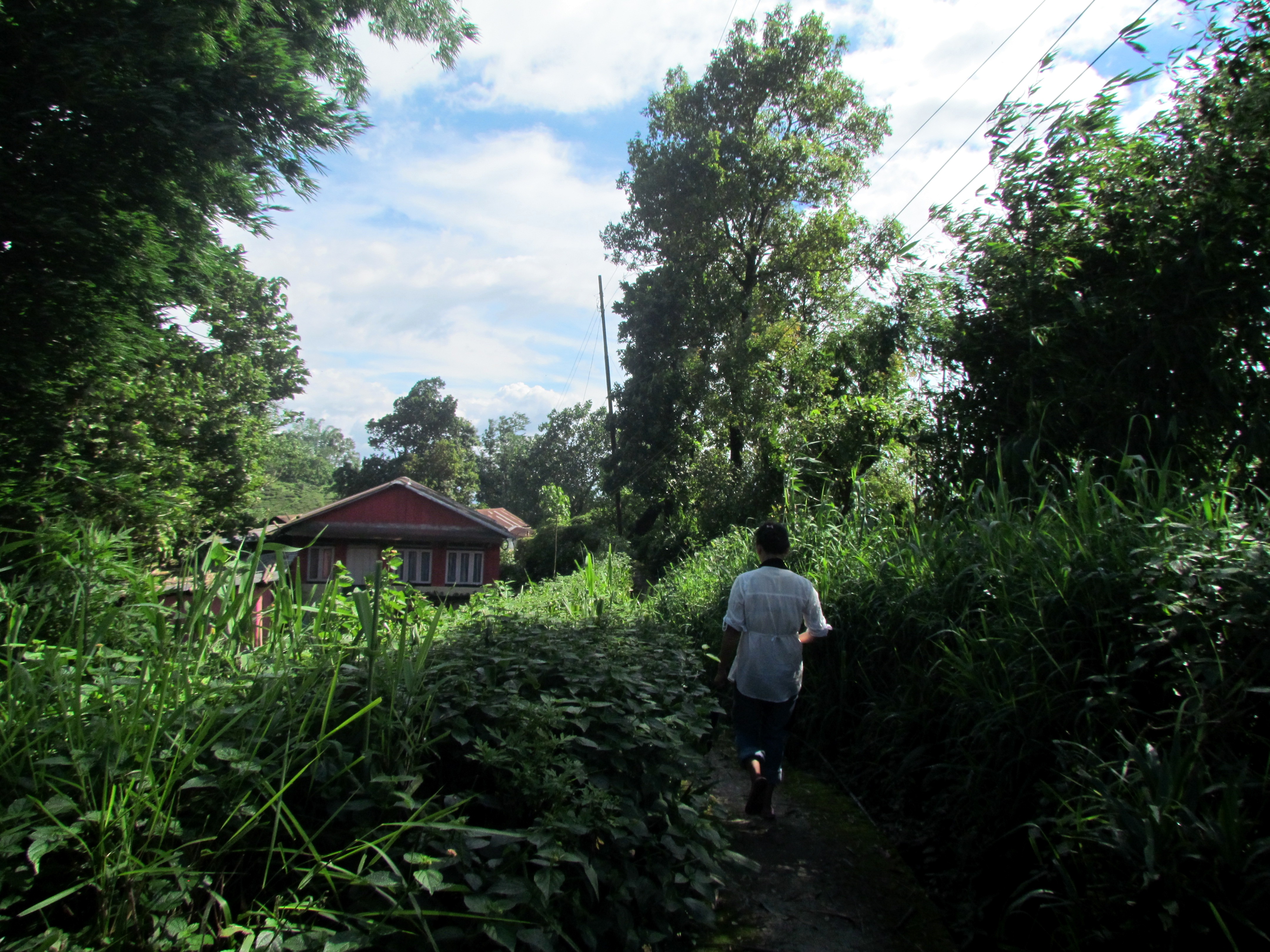 Makaibari home stay