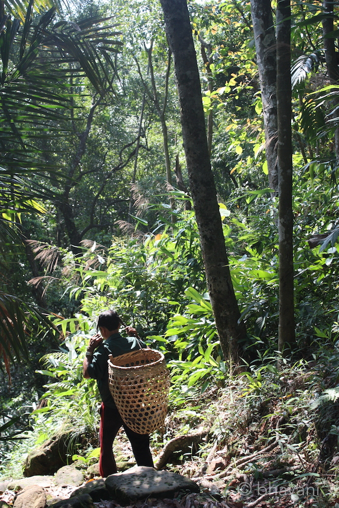 Meghalaya trekking
