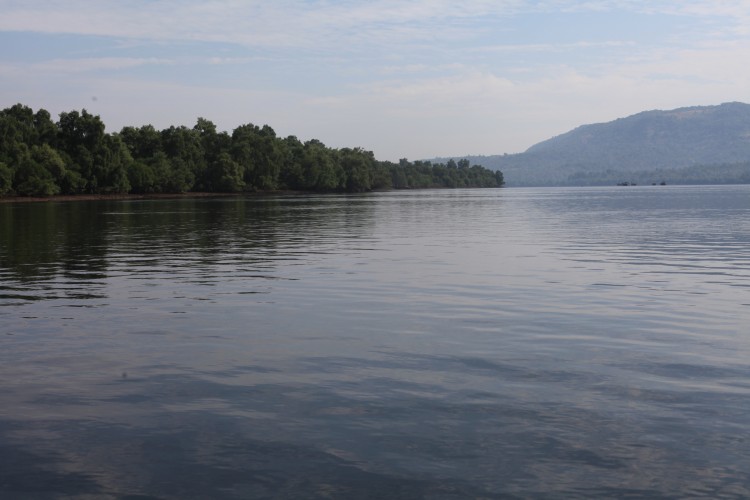 Maharashtra Homestays