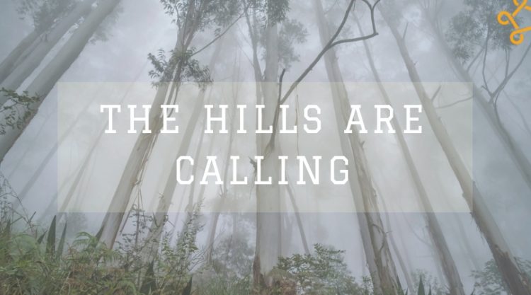 villas in hill stations